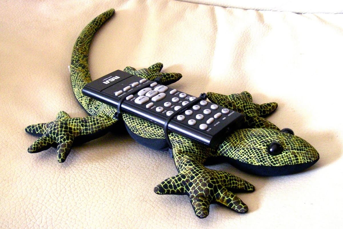 Playful Lizard Remote Keeper