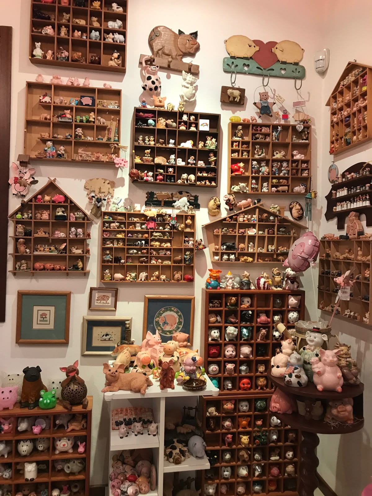 Pig Figurine Collection Wall