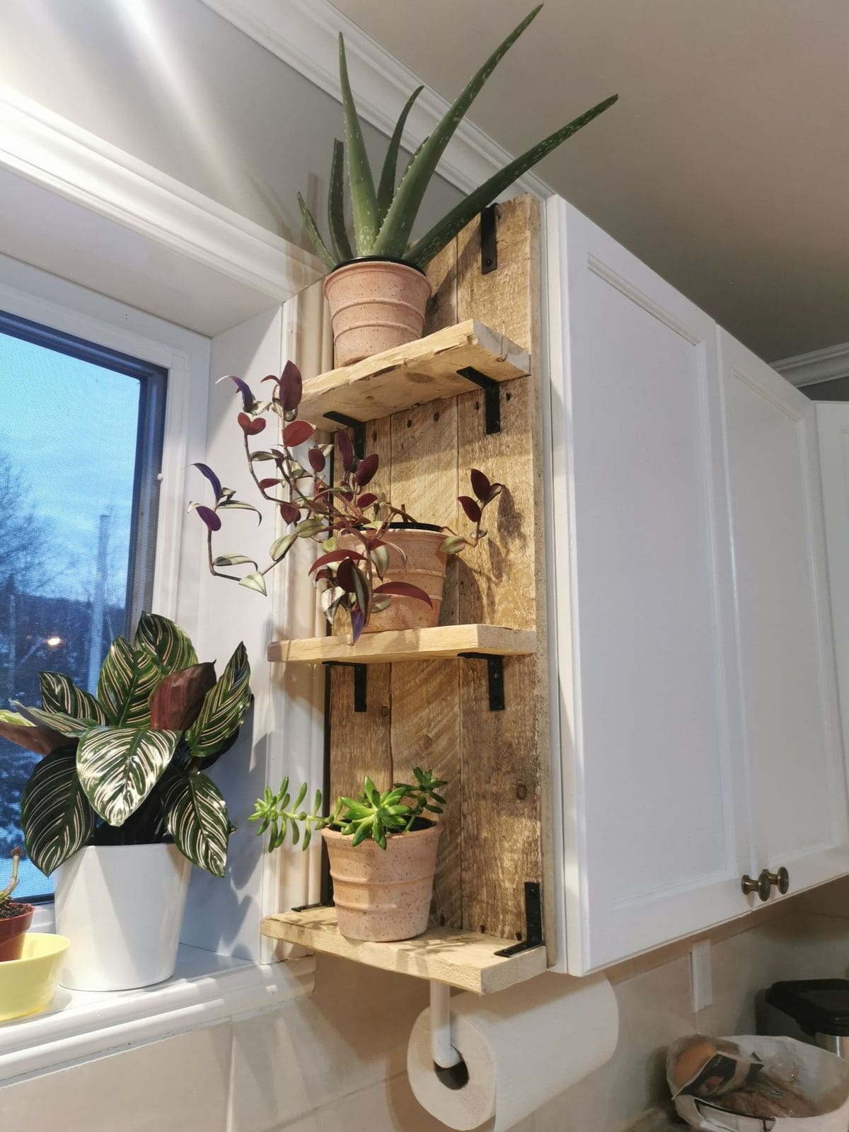 Rustic Corner Plant Shelf Design