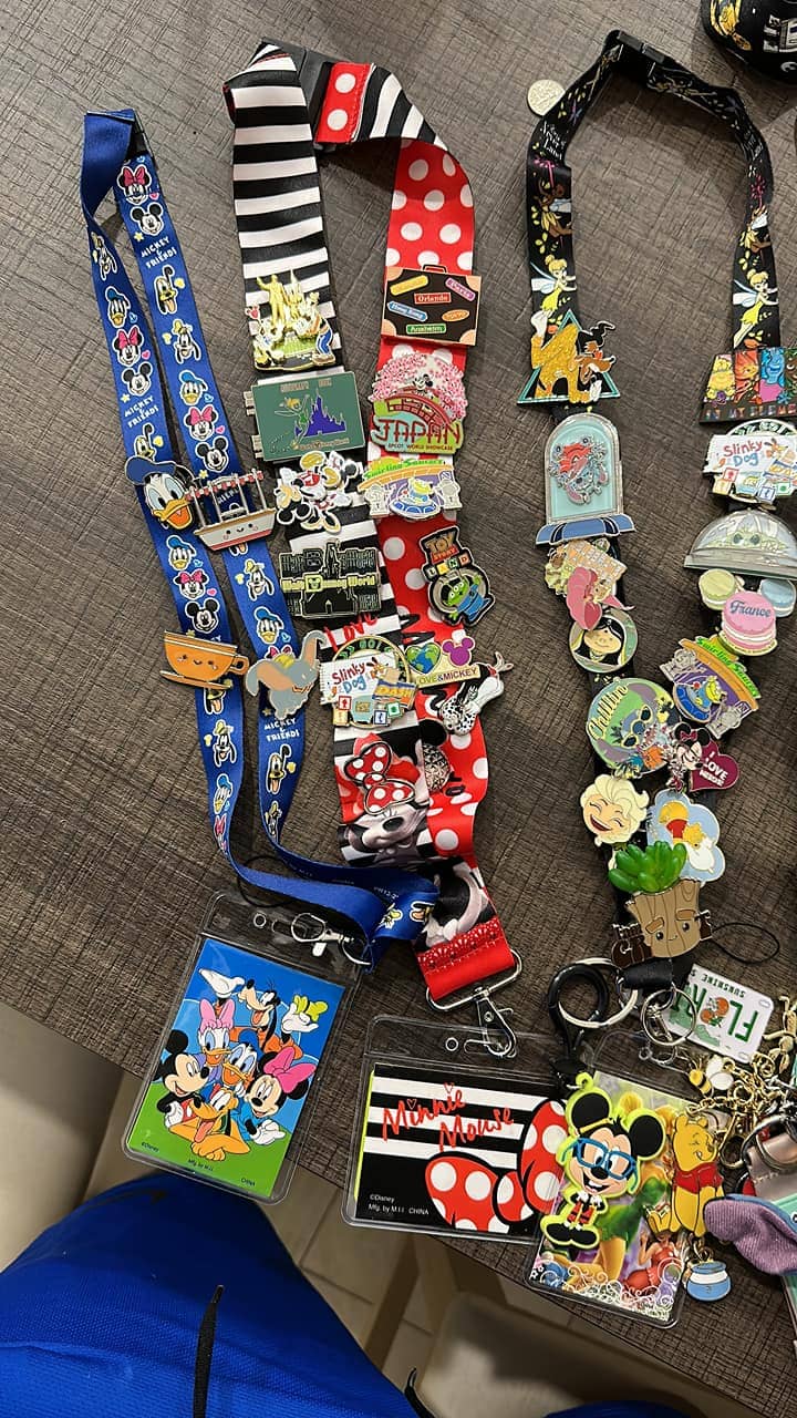Disney Lanyard Pin Collection