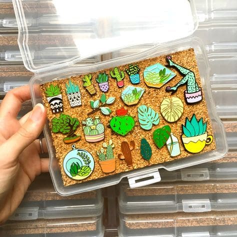 Succulent Pin Display Case